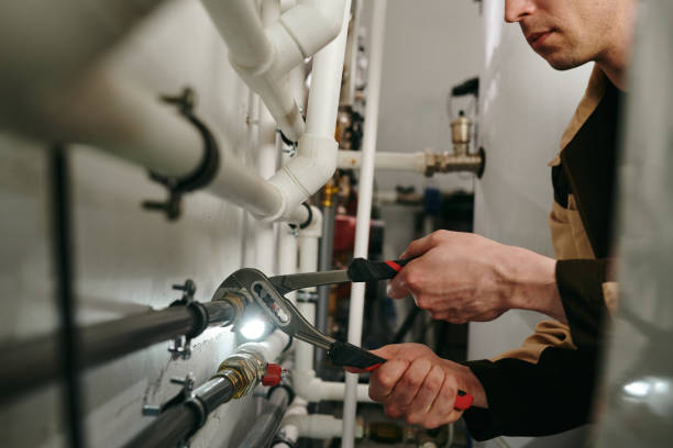 Best 24-Hour Plumber Near Me  in Holt, MI