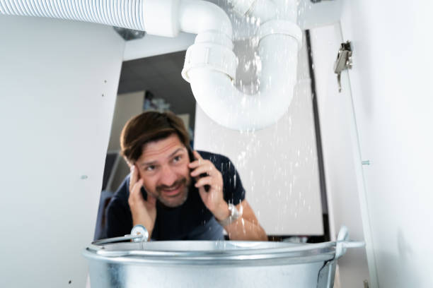  Holt, MI Plumbing Pros