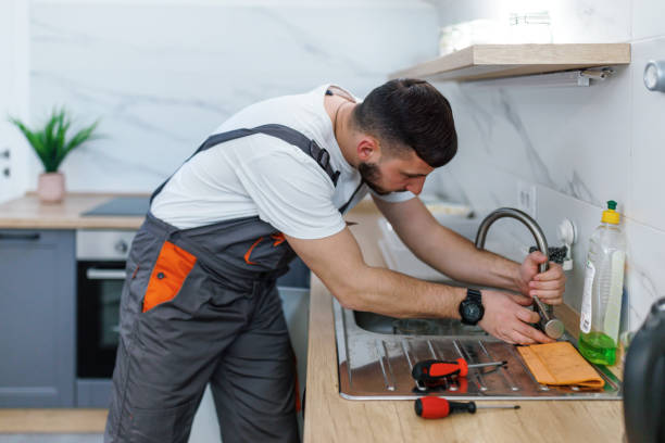 Best Plumbing Inspection Services  in Holt, MI