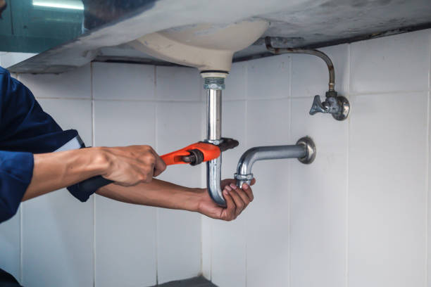 Best Plumbing Installation Services  in Holt, MI