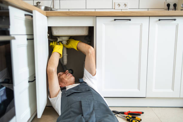 Best Local Plumber Services  in Holt, MI
